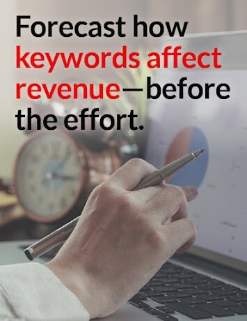 SEO Ranking ROI Calculator